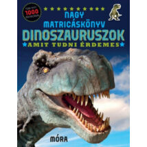 Nagy matricáskönyv - Dinoszauruszok